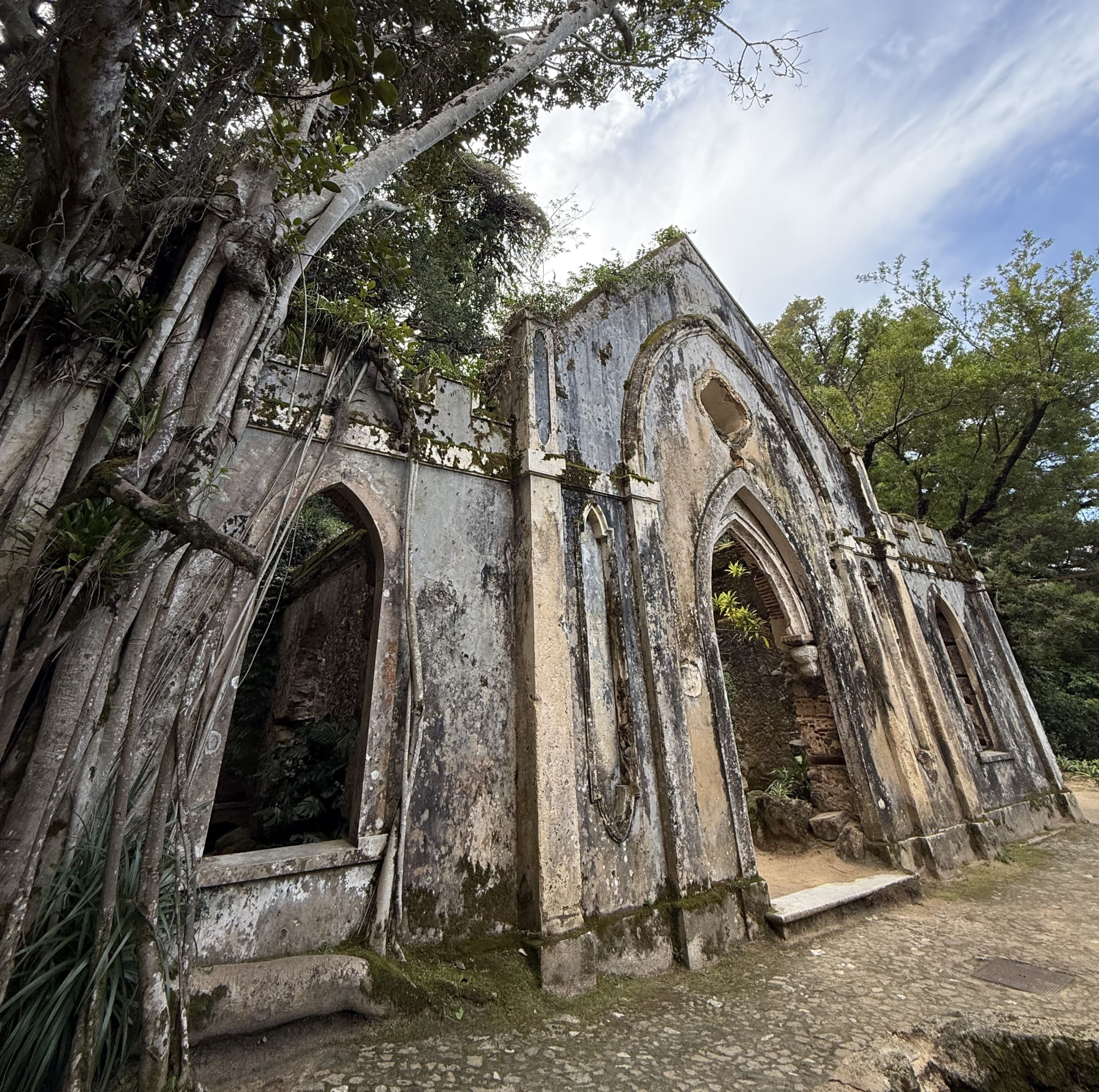 Best Spot at Monserrate Palace for a Proposal